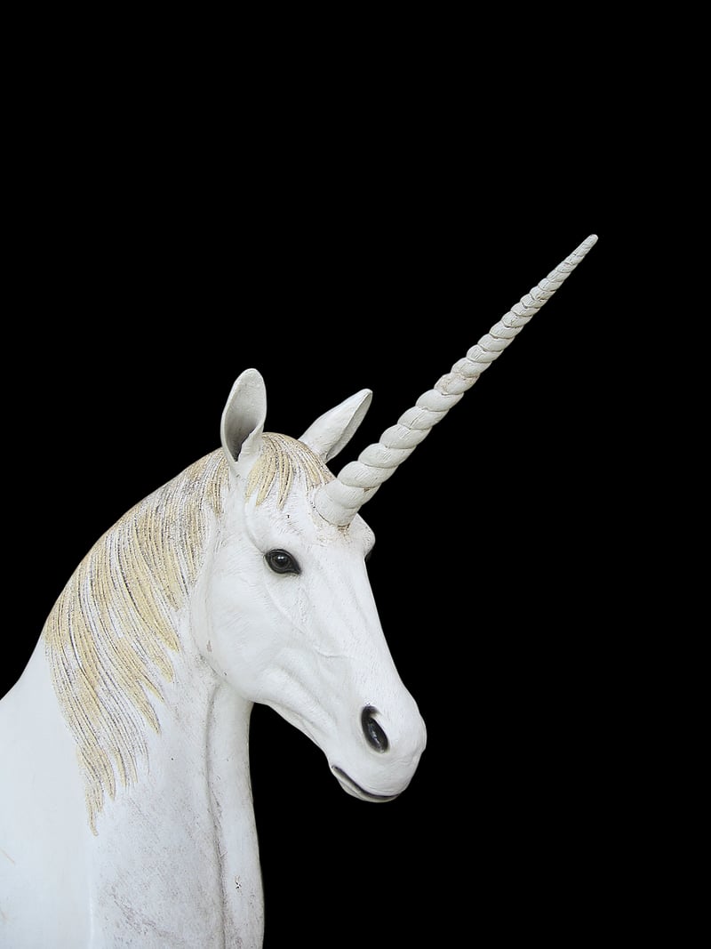 Unicorn Corn
