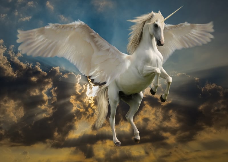 Unicorn Pasture